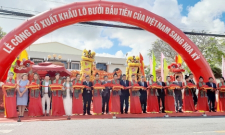 Việt Nam xuất khẩu lô bưởi da xanh đầu tiên sang thị trường Hoa Kỳ