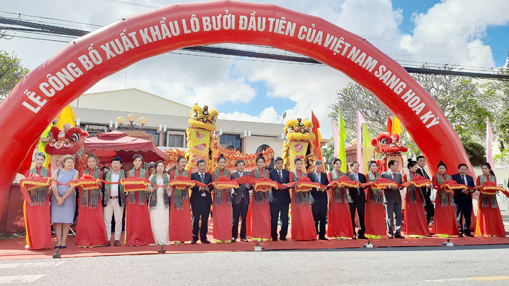 Lô bưởi da xanh đầu tiên của Bến Tre, cũng là đầu tiên cả nước đã chính thức xuất khẩu vào thị trường Hoa Kỳ vào sáng 28/11/2022.