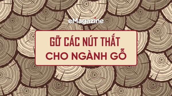 Gỡ các nút thắt cho ngành gỗ