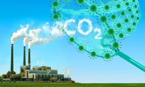 Australia hỗ trợ  3,3 triệu AUD cho 6 dự án carbon bền vững tại Việt Nam