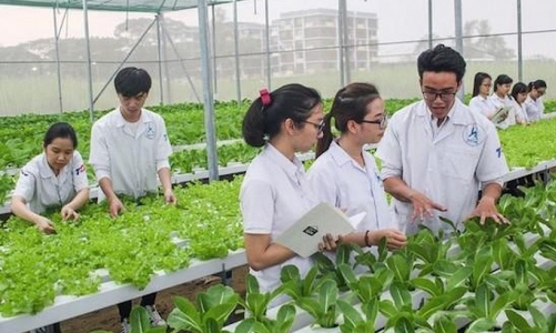 Đào tạo nhân lực nông nghiệp phải gắn kết với thực tiễn sản xuất