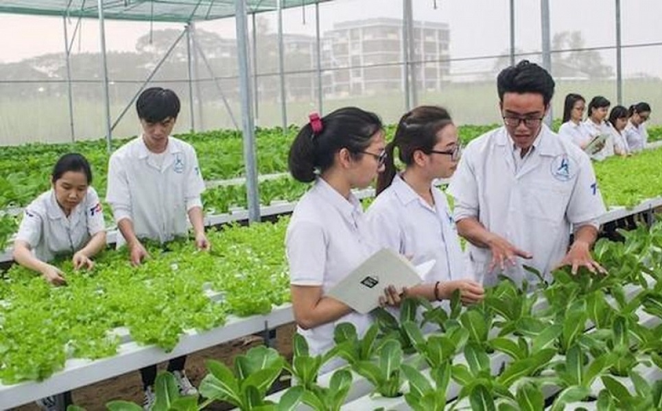 Công tác đào tạo nhân lực ngành nông nghiệp phải gắn với cơ sở sản xuất, doanh nghiệp và thị trường.