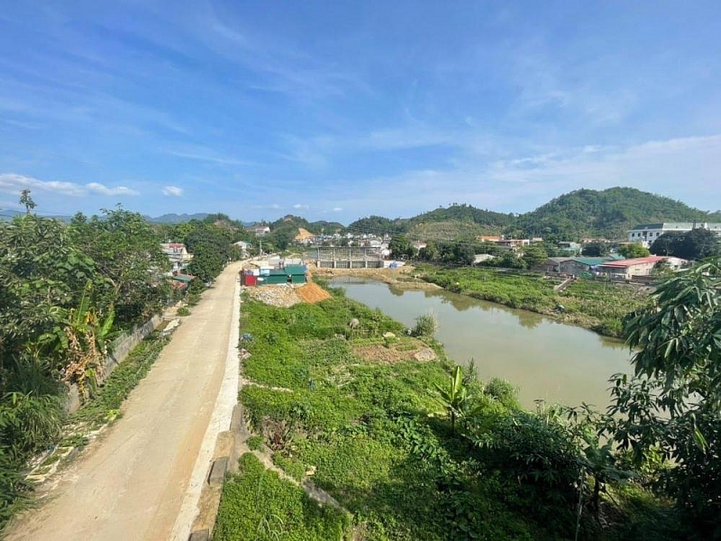 Ảnh minh họa.