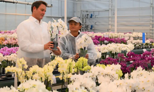 Cuộc sống của Jack Ma sau vụ 