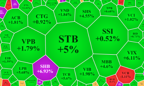 Vốn nội trỗi dậy, 130 mã kịch trần, VN-Index xóa sạch tháng 11 đau thương