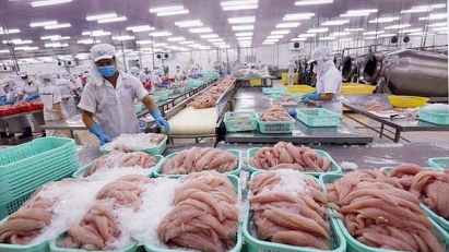 Seafood exports tumble in November