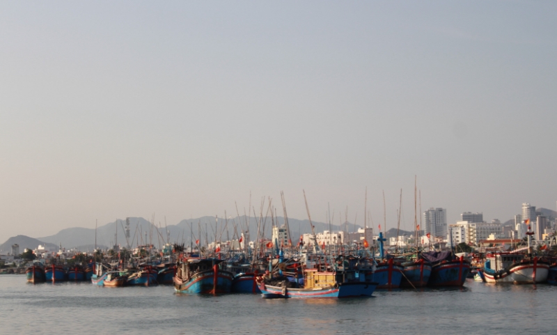 Vietnam strengthening efforts tackle illegal fishing