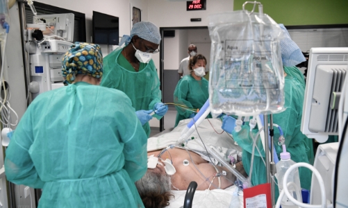 Cảnh báo có hơn 500 dòng phụ của biến thể Omicron đang lưu hành 