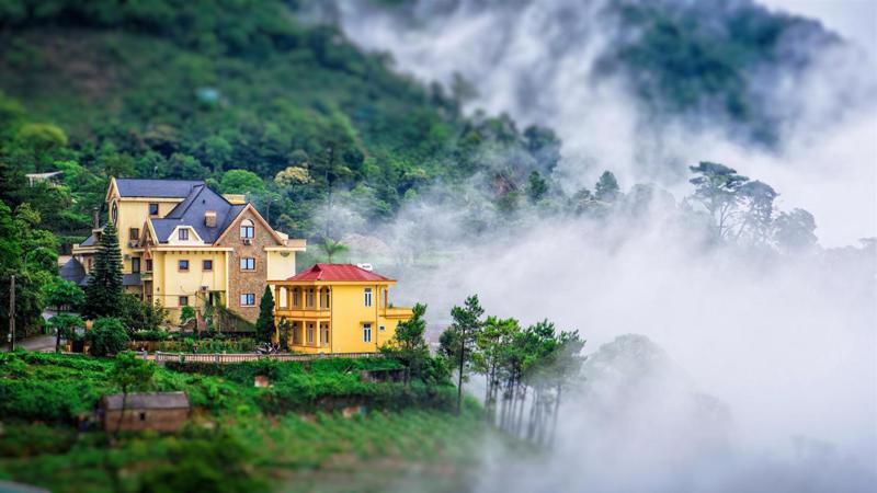 Tam Dao honored as world's leading town destination - VnEconomy