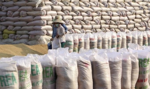 VCCI: Cân nhắc thận trọng việc bổ sung quy định quản lý nhập khẩu thóc, gạo