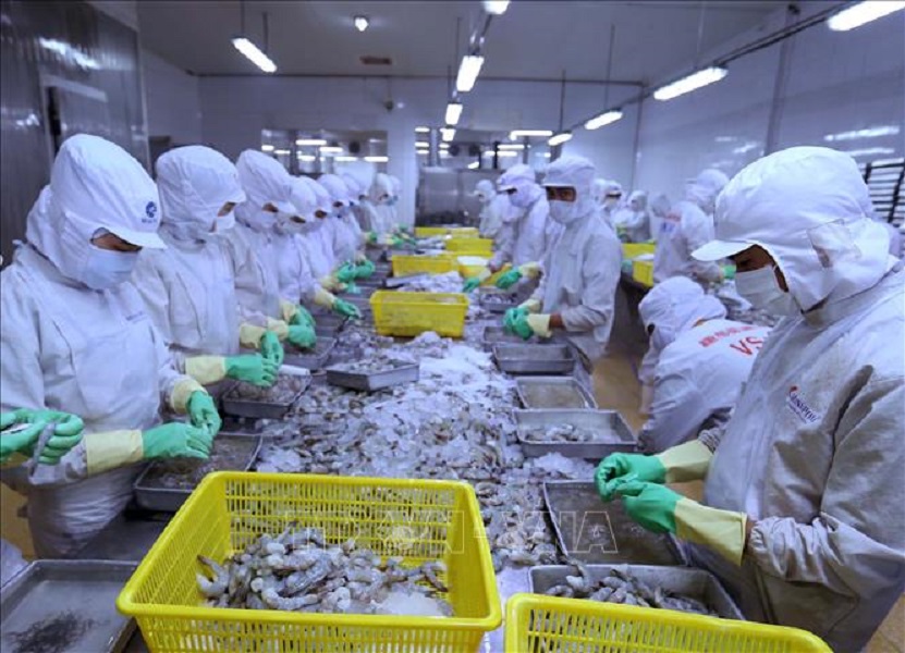 Có 46 doanh nghiệp thuỷ sản nằm trong danh sách doanh nghiệp xuất khẩu uy tín năm 2021.
