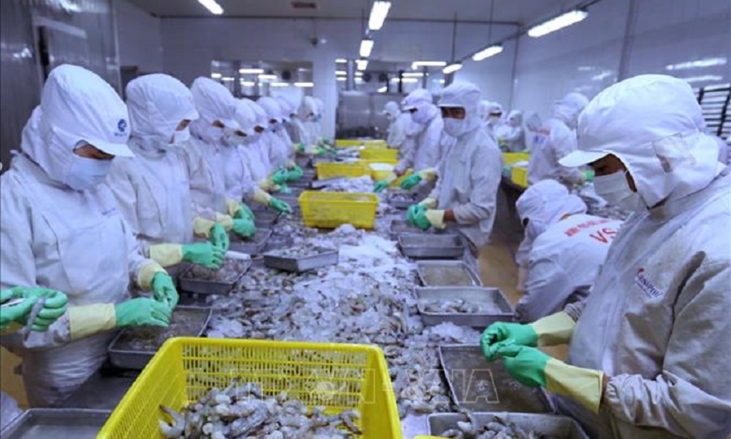 Có 46 doanh nghiệp thuỷ sản nằm trong danh sách doanh nghiệp xuất khẩu uy tín năm 2021.