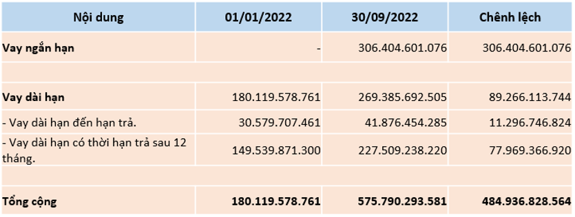 Tổng quan biến động khoản vay của CTR trong năm 2022.