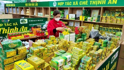 Experts: Localities must better help enterprises benefit from FTAs