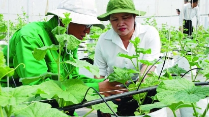 Green agriculture needs all possible resources