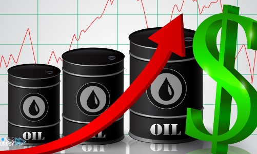 Giữ mức sàn thuế bảo vệ môi trường xăng dầu năm 2023, ngân sách hụt thu gần 51.000 tỷ