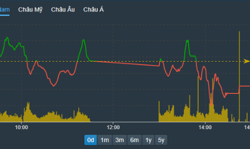 VIC tăng kịch trần không ngăn được thị trường lao dốc, gần 120 mã giảm sàn