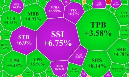 Cổ phiếu chứng khoán đua nhau tăng kịch trần, thanh khoản phục hồi bất chấp cầu ngoại hạ nhiệt