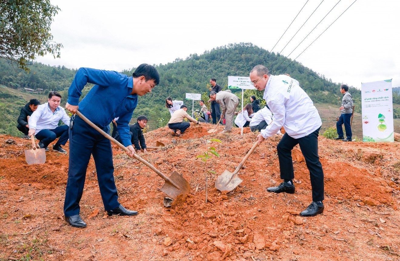 Tập đoàn Stavian cùng chính quyền và bà con huyện Mù Cang Chải trồng cây. Nguồn: Stavian.