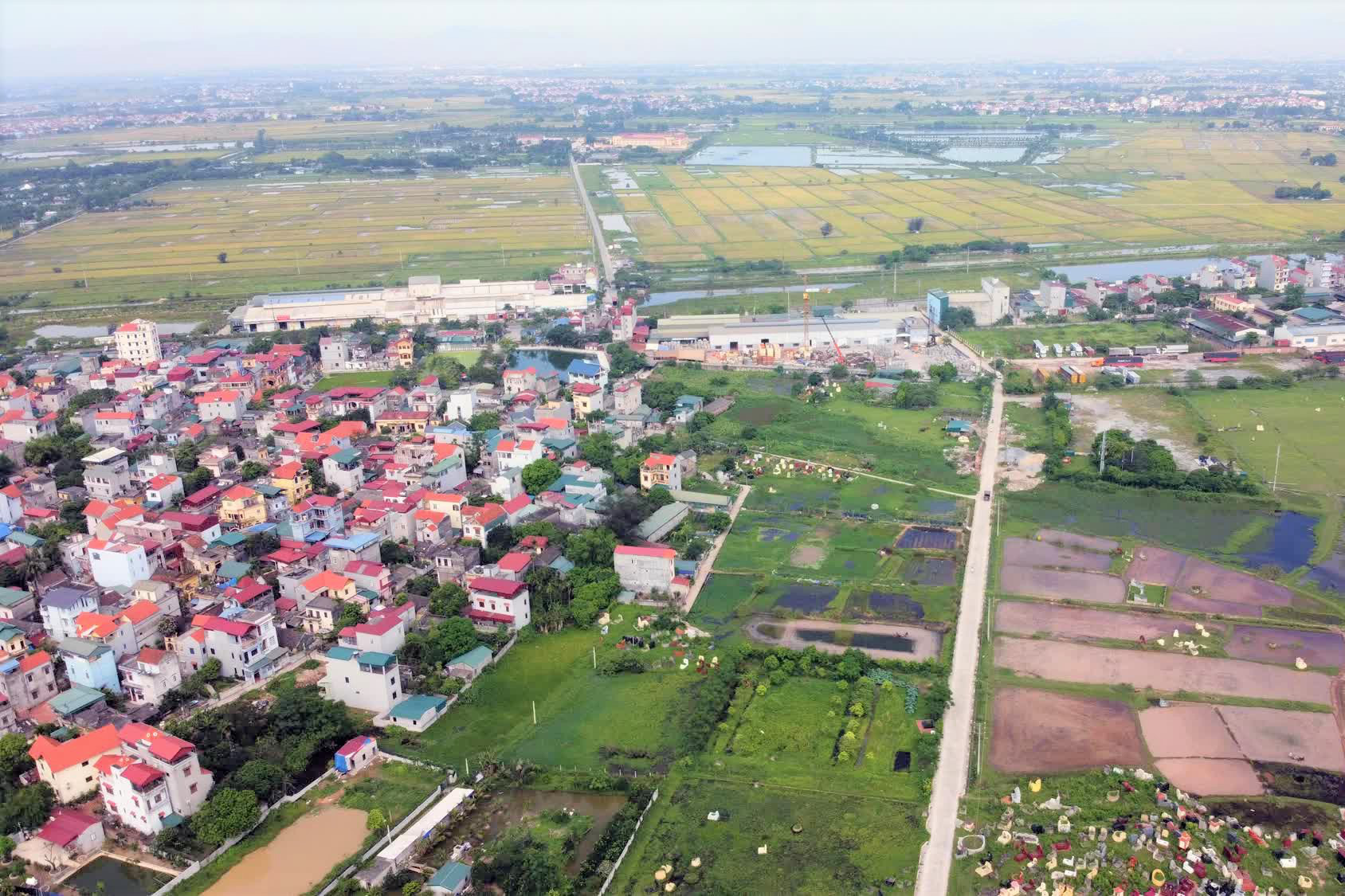 Ảnh minh họa.
