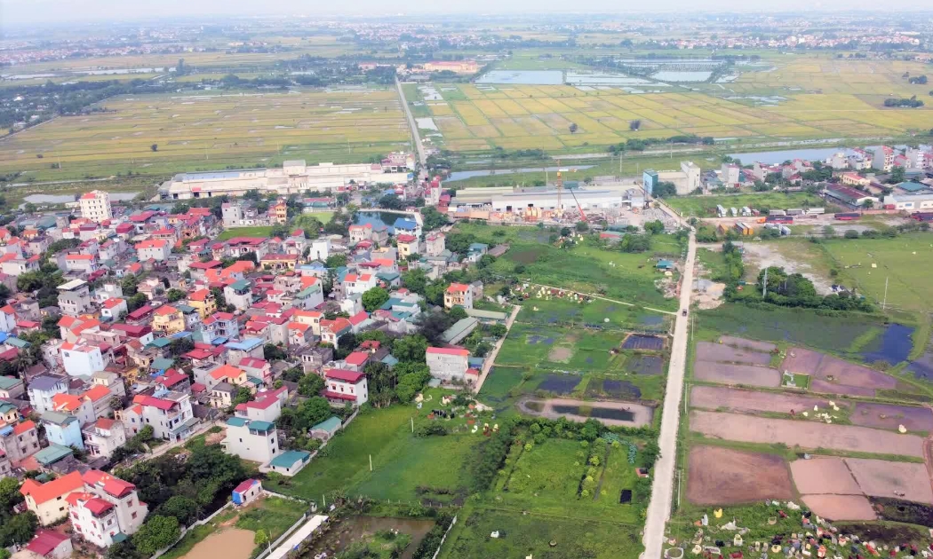 Ảnh minh họa.