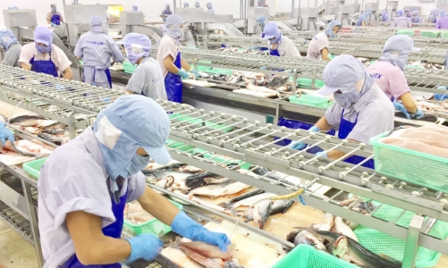 Trung Quốc mở cửa sẽ hỗ trợ xuất khẩu thủy sản Việt Nam