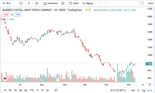 Giao dịch ngoài thời gian đăng ký, thành viên HĐQT BCG bị phạt tiền và đình chỉ giao dịch chứng khoán 2 tháng 
