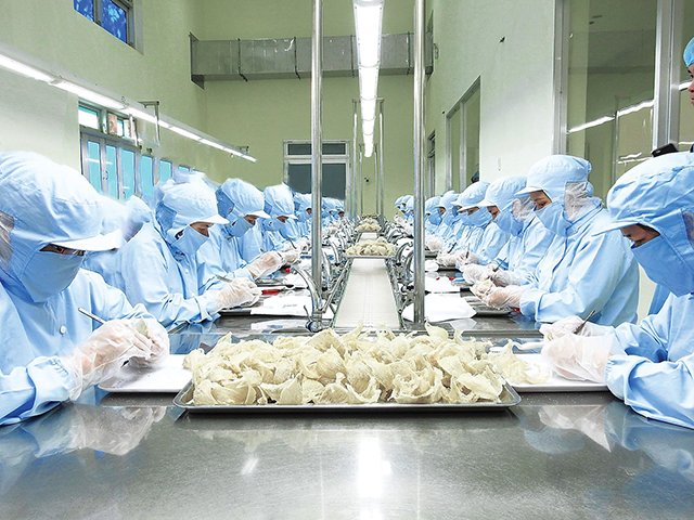 Tổ yến đã được xuất khẩu chính ngạch vào thị trường Trung Quốc