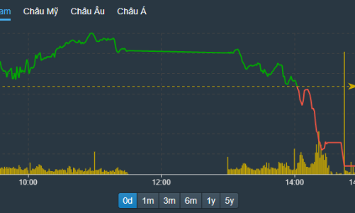 Xả lớn, VIC giảm hết biên độ, VN-Index bốc hơi 1,88%