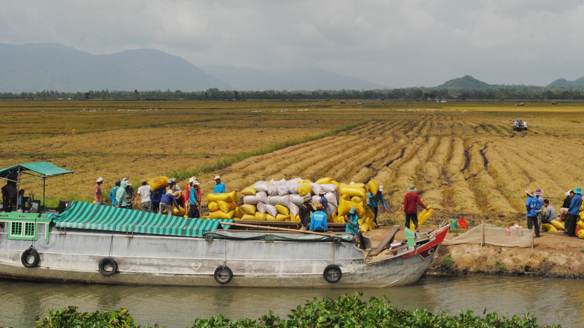 Chú trọng phát triển vận tải đa phương thức, lấy đường thủy là trọng tâm.