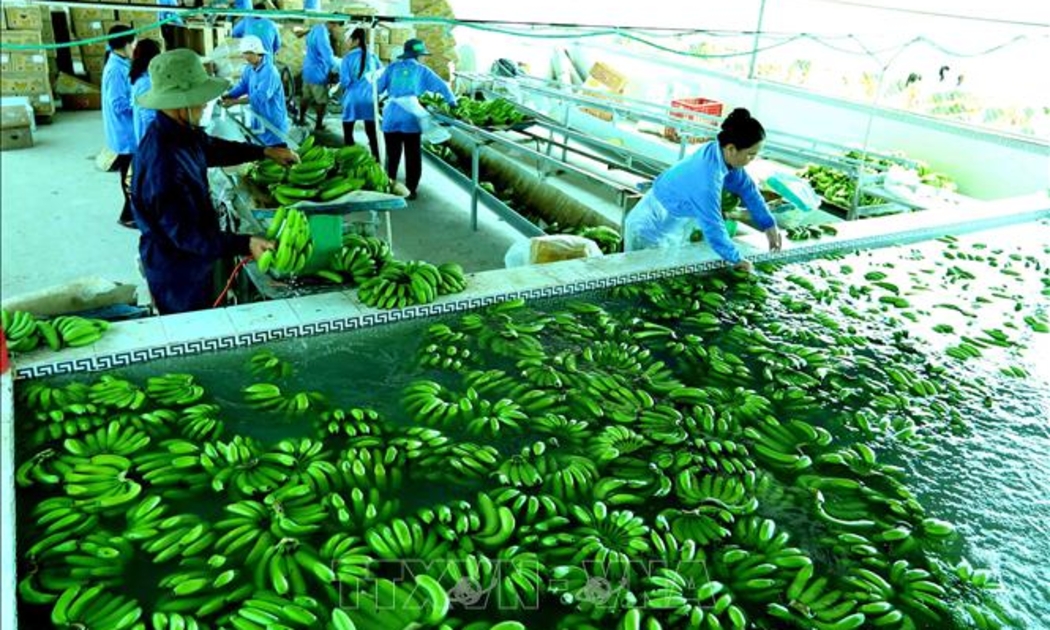 Tiêu dùng xanh không còn là thị trường ngách