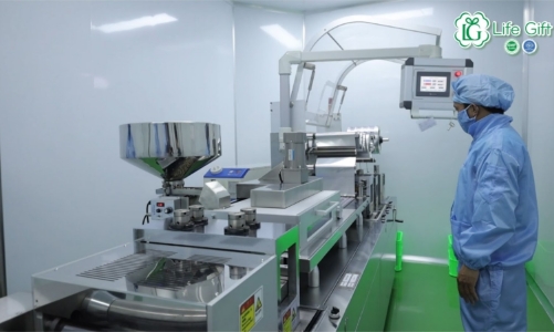 Tiêu chuẩn nào cho các nhà máy gia công thực phẩm chức năng tại Việt Nam?