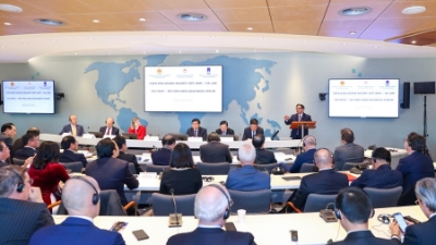 Vietnamese & Dutch enterprises meet to discuss investment