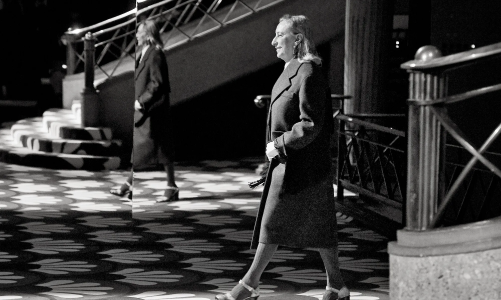 Miuccia Prada từ chức CEO, Prada sẽ tiếp tục trẻ hóa hơn nữa?