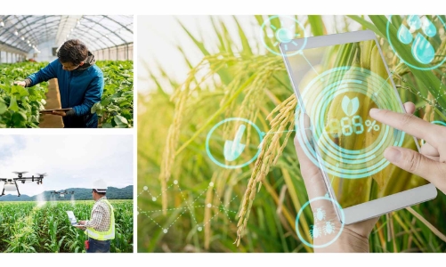 Đổi mới tổ chức, quản lý, tự chủ khoa học và công nghệ công lập