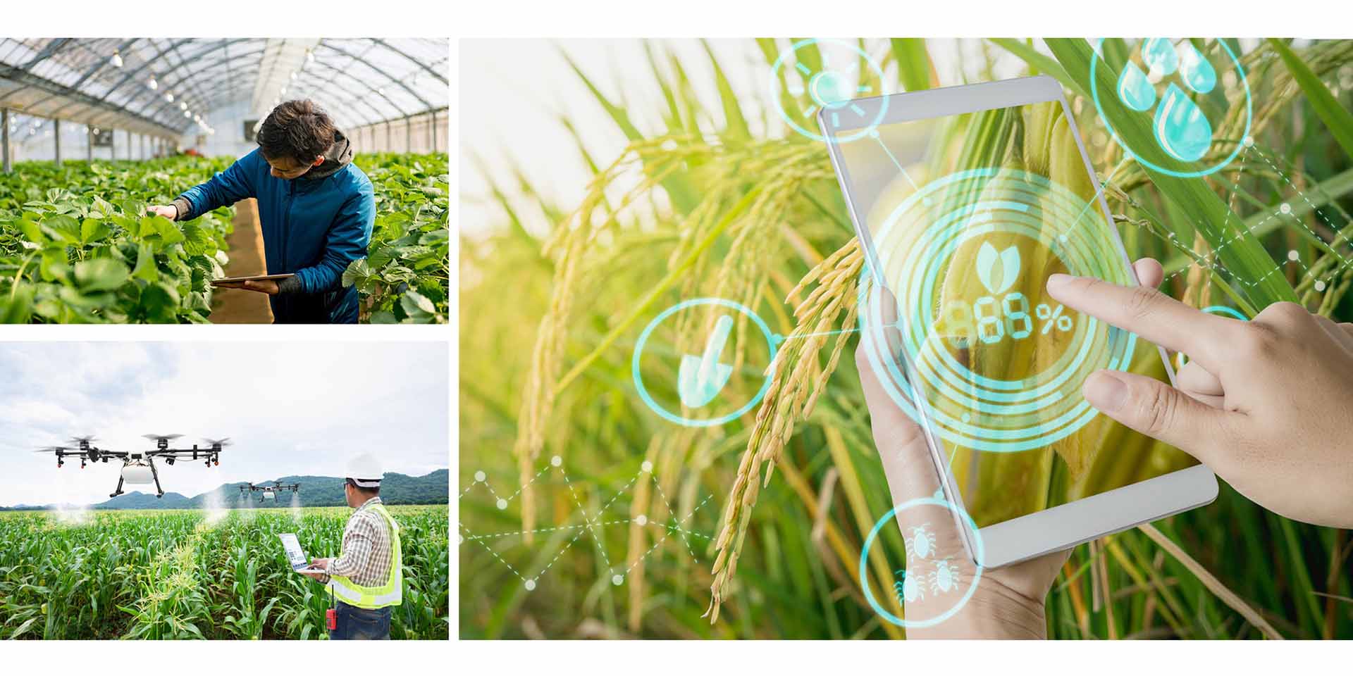 Bộ Khoa học và Công nghệ đang lấy ý kiến về Đề án Đổi mới tổ chức, cơ chế quản lý, cơ chế tự chủ của các tổ chức khoa học và công nghệ công lập. (Ảnh minh họa).