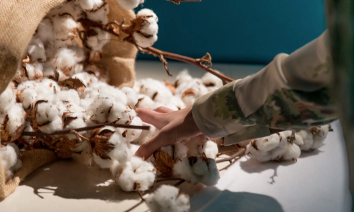 Kering hợp tác với L’Occitane ra mắt quỹ khí hậu mới