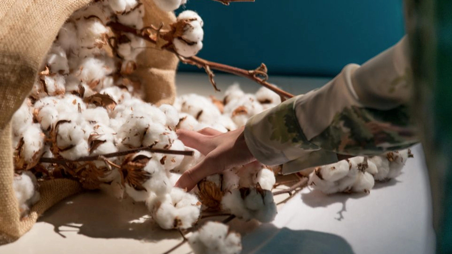 Ảnh: The Industry Fashion