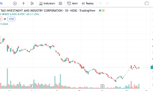 Giá hồi phục, Đại học Tân Tạo đăng ký mua 10 triệu cổ phiếu ITA