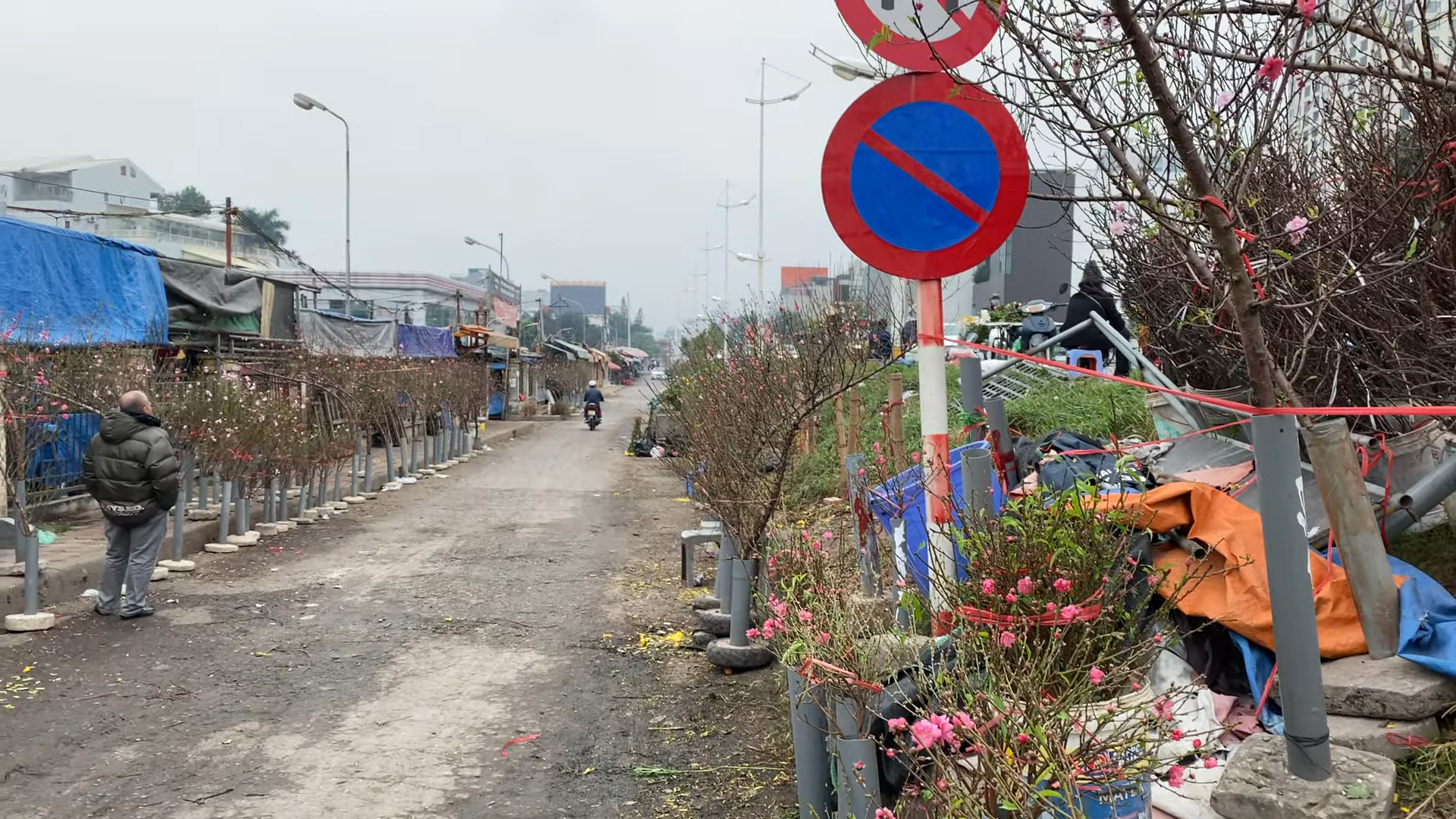 Chợ hoa Quảng An. Ảnh: An Trần