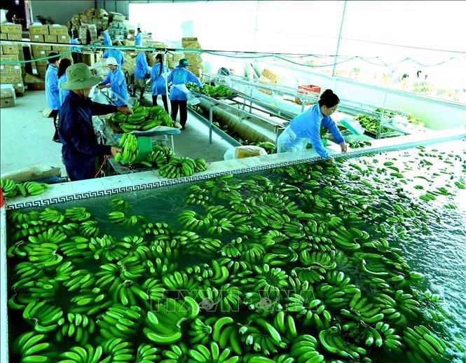 Enterprises must boost green trade for sustainability