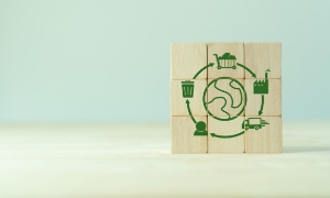 Nghịch lý của chuỗi cung ứng: tính bền vững hay lợi nhuận