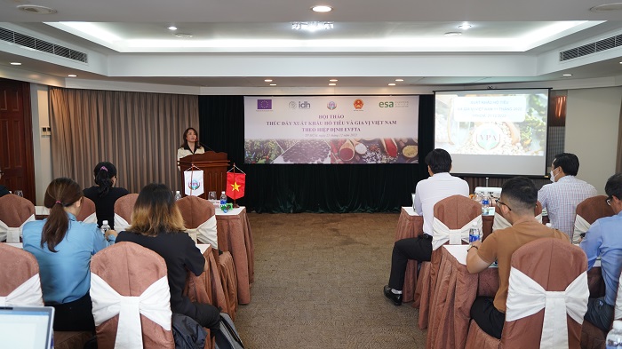 B&agrave; Ho&agrave;ng Thị Li&ecirc;n, Chủ tịch VPA, ph&aacute;t biểu tại hội thảo - Ảnh: PC.