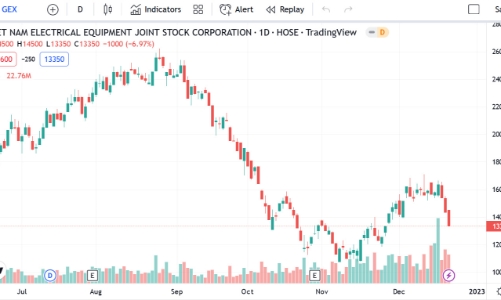 Chứng khoán VIX dự chi 200 tỷ đăng ký mua 15 triệu cổ phiếu GEX