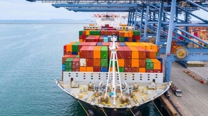 Vietnam to develop international shipping fleet