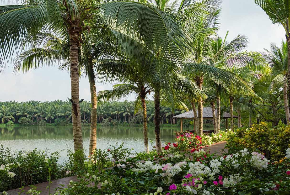 Quang cảnh thiên nhiên bên ngoài nhà hàng