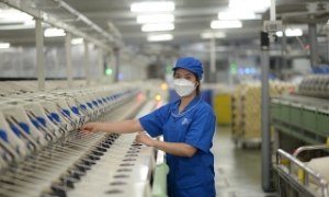 Vinatex là minh chứng tốt của doanh nghiệp cổ phần nhà nước chi phối