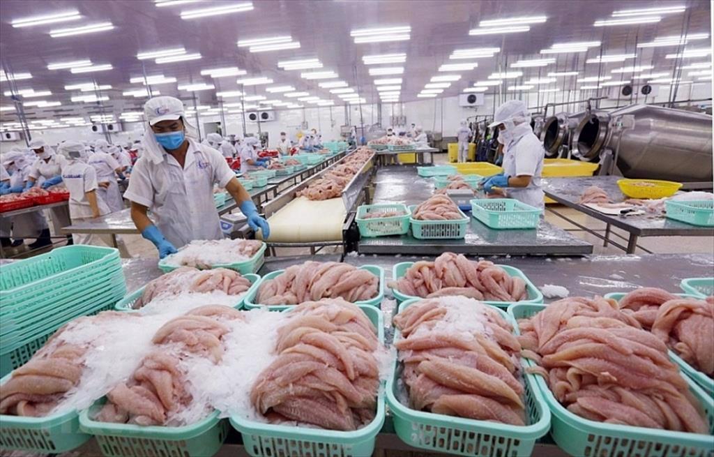Xuất khẩu thuỷ sản sang thị trường CPTPP tăng mạnh trong 3 năm thực thi hiệp định.