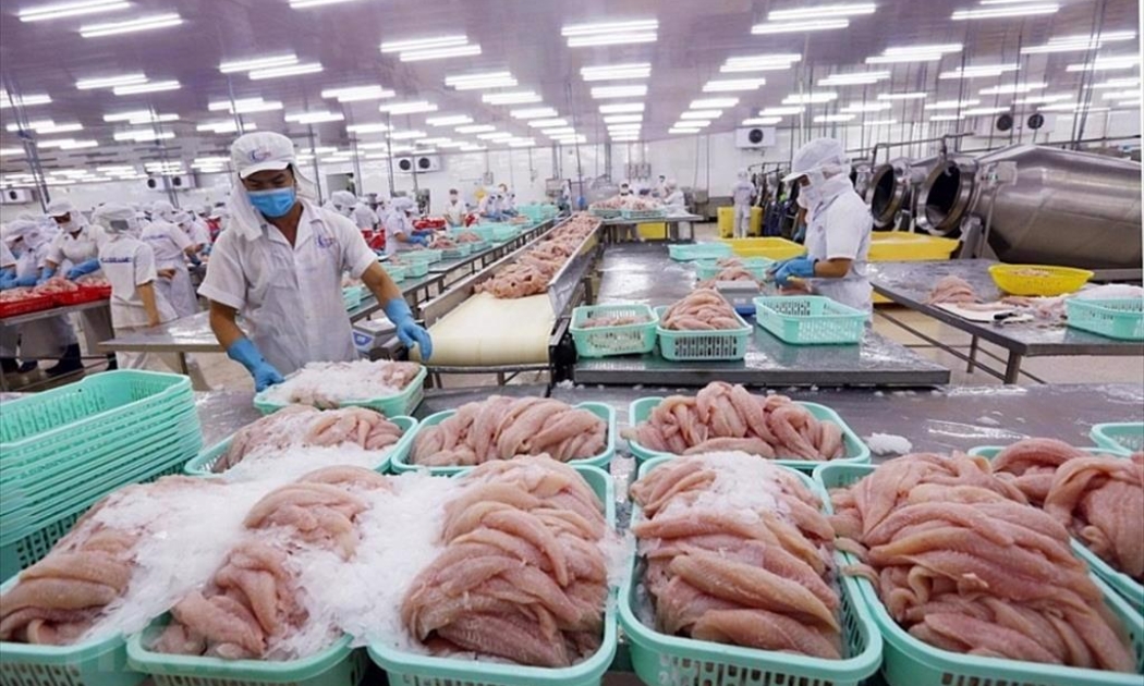 Xuất khẩu thuỷ sản sang thị trường CPTPP tăng mạnh trong 3 năm thực thi hiệp định.