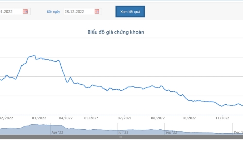 Angimex lên kế hoạch họp cổ đông để xử lý tình trạng mất cân đối vốn